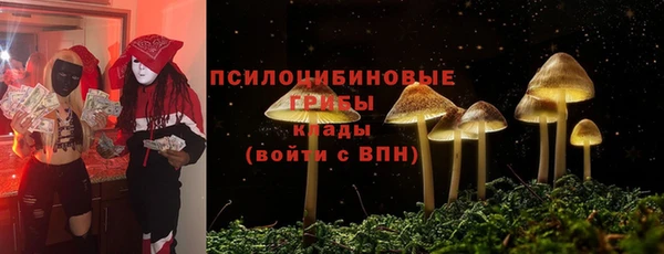 индика Алексеевка